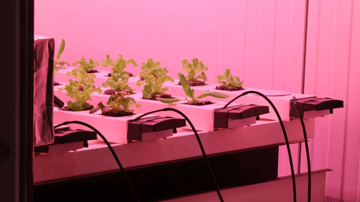 செங்குத்து வளரும் விளக்குகள் உண்மையில் உங்கள் தாவரங்கள் நன்றாக வளர உதவும்