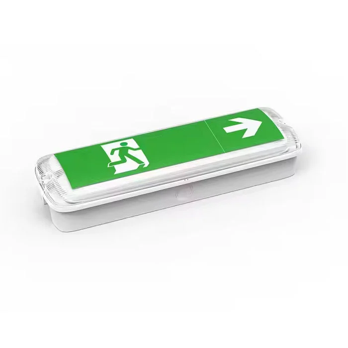 தொழில்துறை தன்னிறைவு LED அவசர பல்க்ஹெட்